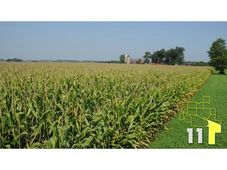 Property photo 38 - Land Auction - 3,379 Acres in 48 Tracts, 2,900 Acres Tillable, Large Contiguous Tracts - Investment Potential